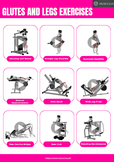 womens workout chart, fitness, demo videos, planner, journal, improvement, mental health, leg exercises