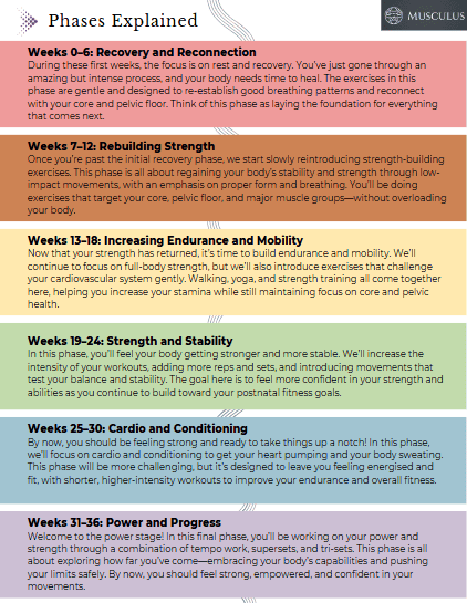 Busy mums fitness program, healthy, fitness, journal, planner, mental health, strength, improvement